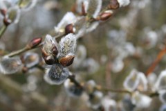 Il decennio più caldo da almeno 130 anni