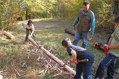 Premio per il bosco alpino di protezione 2009 per progetti modello