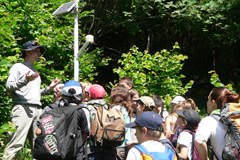 Con il programma Phenoclim anche i comuni possono osservare il cambiamento climatico