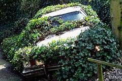 Siti interessanti per i comuni