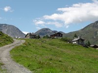 Cooperazione italo - svizzera per migliorare la connettività ecologica