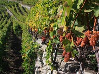 Sondrio festeggia insieme alla CIPRA