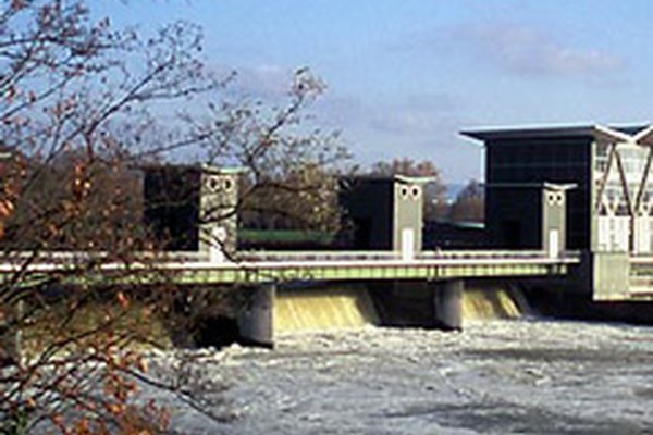 I salmoni torneranno presto nel Reno