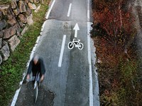 Corsi d’acqua alpini, biodiversità e mobilità