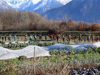 Crowdfunding per la terra e il suolo