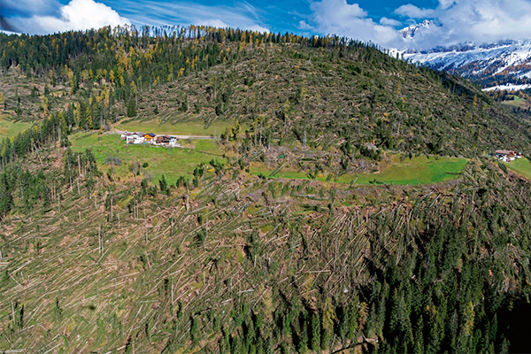 Ecosistemi destabilizzati