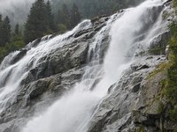 Il contributo di servizi offerto dalla natura