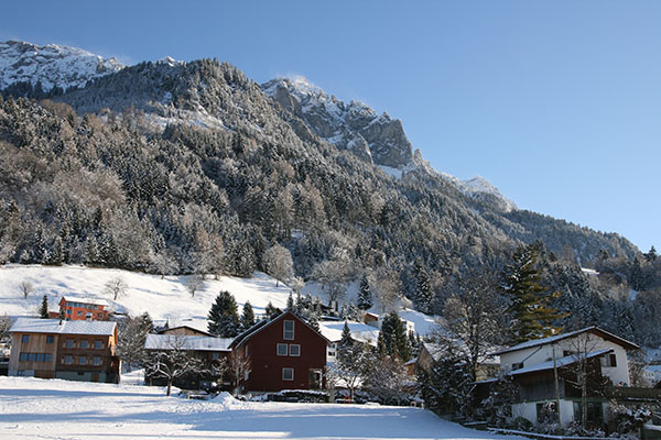 In che modo ecosistemi intatti migliorano la qualità della vita