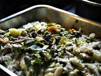 La Convenzione delle Alpi si orienta all’economia verde