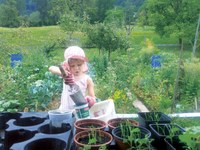 La mia visione delle Alpi