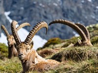 La scelta coraggiosa di un poiccolo comune