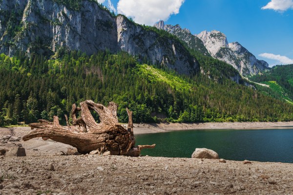Le Alpi si stanno prosciugando