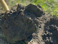 L’UE punta a suoli sani entro il 2050