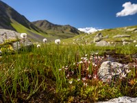 Pochi benefici, molta distruzione: critiche ai progetti idroelettrici nella Kaunertal