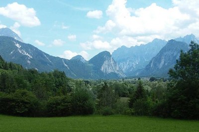 Quali le cause della perdita di biodiversità