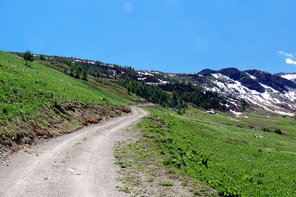 Stop al rombo dei motori!