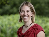 Una verifica con ricadute indirette