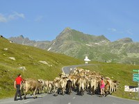Vacanze estive prolungate grazie ai cambiamenti climatici