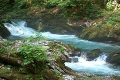 Protocollo per l'attuazione della Convenzione delle Alpi nel settore "Acqua" - una proposta della CIPRA Internazionale