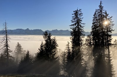 Il paesaggio alpino non è rinnovabile!