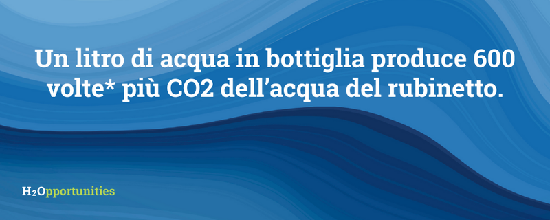 Fonte: www.soulbottles.com/blogs/soulblog/7-fakten-uber-wasser-die-du-noch-nicht-wusstest (consultato il 10/02/2026)