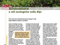 Silvicoltura e reti ecologiche nelle Alpi