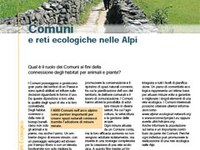 Comuni e reti ecologiche nelle Alpi