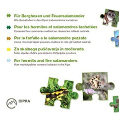 Per le farfalle e le salamandre pezzate