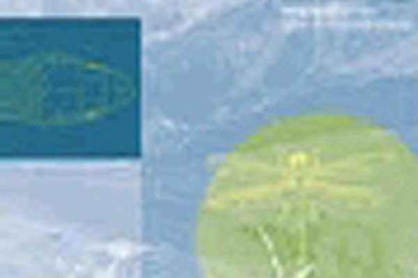 Nouvelle publication sur la biodiversité