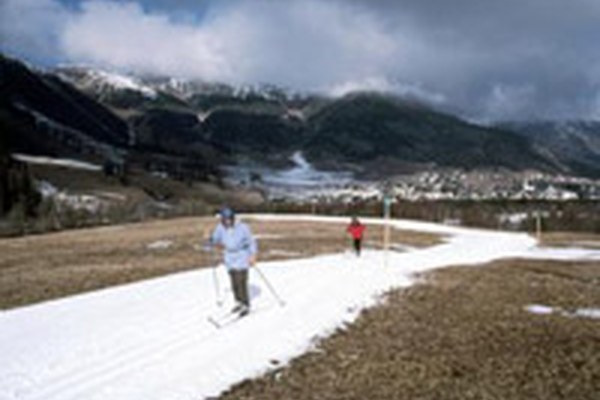 Le skieur - une espèce en voie de disparition ?