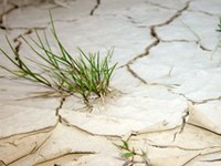 La pénurie d'eau a de lourdes conséquences