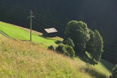 Quelle agriculture pour l'Europe ?