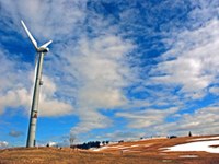 Slovénie : utilisation de l'énergie éolienne et protection des oiseaux