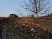 Connectivité des habitats dans les Alpes : des solutions futées