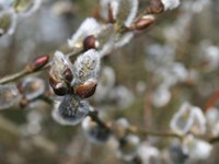 La décennie la plus chaude depuis au moins 130 ans