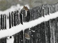 Concours de photographie ECONNECT : " Photographier au-delà de la frontière "