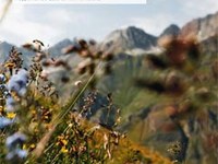 Communiqué de presse de la CIPRA sur le rapport annuel 2009 « La biodiversité dans les Alpes »