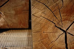 Une conception durable de l'économie