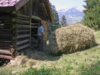 Une politique agricole commune pour les Alpes