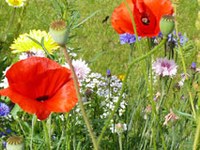 Valoriser la biodiversité des espaces agricoles