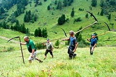 De nouveaux espaces protégés dans les Alpes