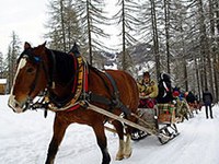 Énergie solaire et voitures à chevaux dans des stations de ski
