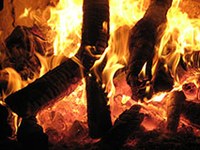 « L’Autriche doit repenser l’utilisation de la biomasse »