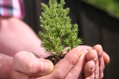 Qui a peur de la forêt ?