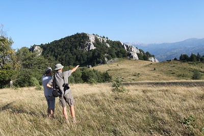 Agir au lieu de palabrer