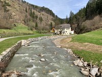 Combiner protection contre les crues et solutions naturelles