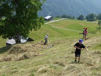Création de nouveaux espaces protégés : succès et échecs