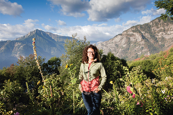 Des idées comme les pommiers