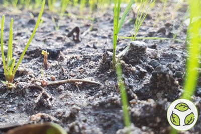 Économiser les terres, sauver les sols