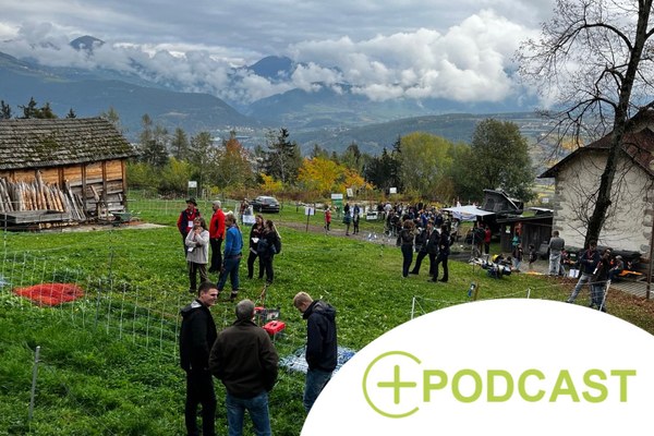 Ensemble pour la protection des troupeaux